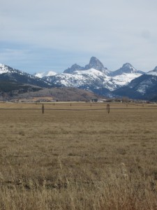 IMG_1680