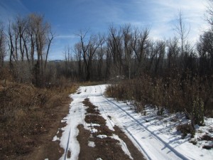 The Willows