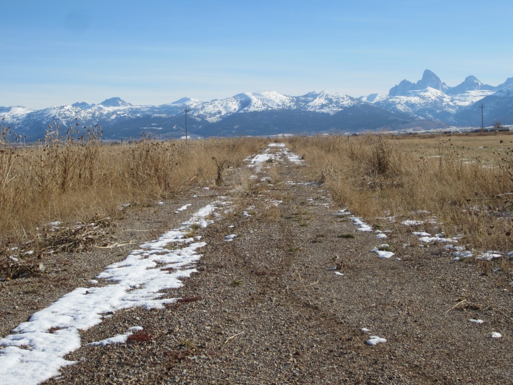 Disappearing Roads