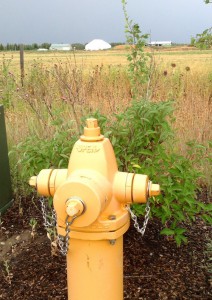 Hydrant