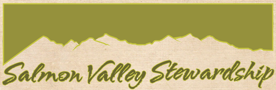 Salmon Valley Stewardship
