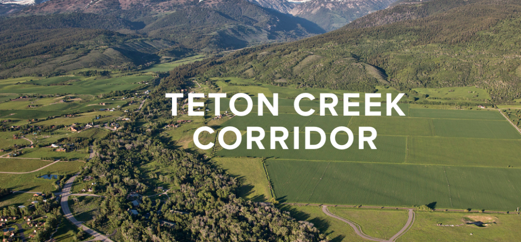teton-creek-corridor