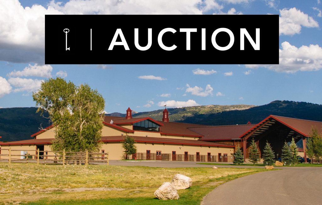 Auction